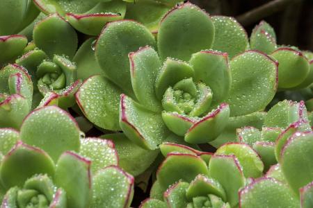 63ËêÈ¥Ö§½Ì£¡Õ㹤´óÍøºìË޹ܴóÊå×òÍíÈ¥¾®¸Ôɽ