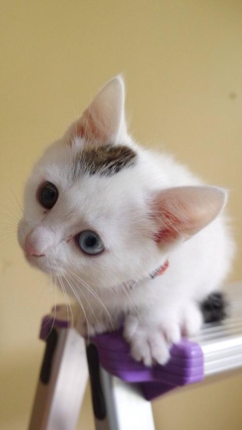 ¹ú×Êί£º³ÉЧÏÔÏÖ ×¥½ôץʵ¹úÆó¸Ä¸ïÈýÄêÐж¯